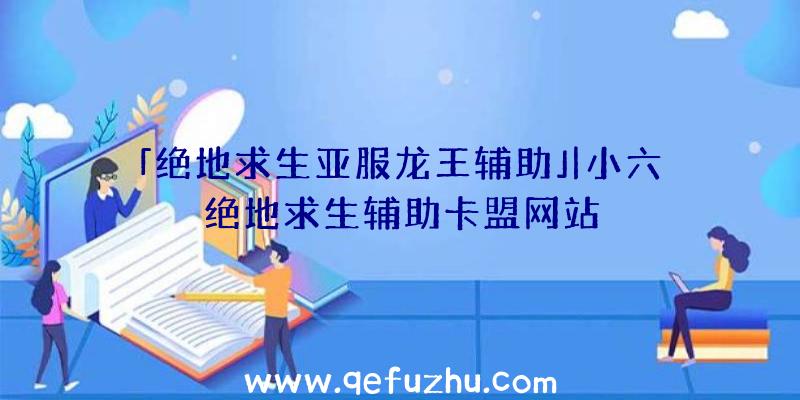 「绝地求生亚服龙王辅助」|小六绝地求生辅助卡盟网站